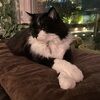 liza0542